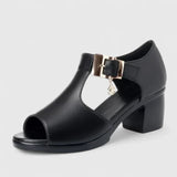 Aerin - Chic and Stylish Sandals