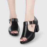 Aerin - Chic Elegance Sandals
