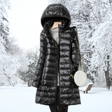 Tarin | Chic Elegance Jacket