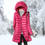 Tarin | Chic Elegance Jacket